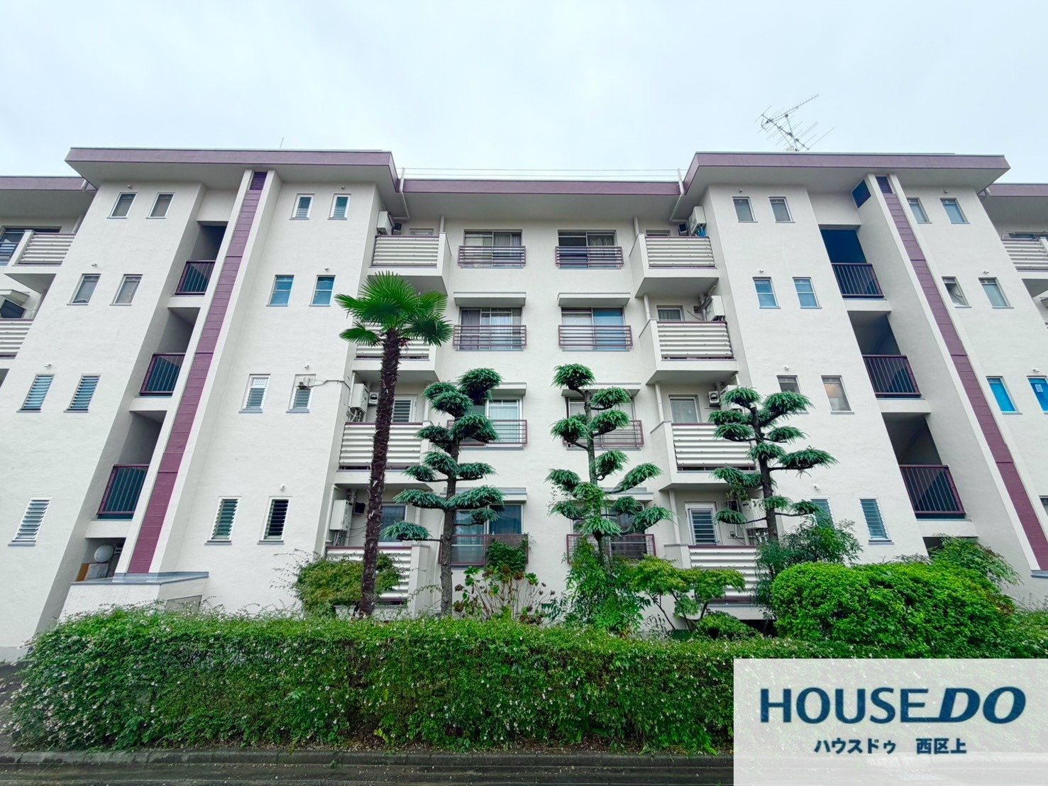 新金岡参丁壱番住宅第壱八棟（3ＬＤＫ）の写真 2枚目